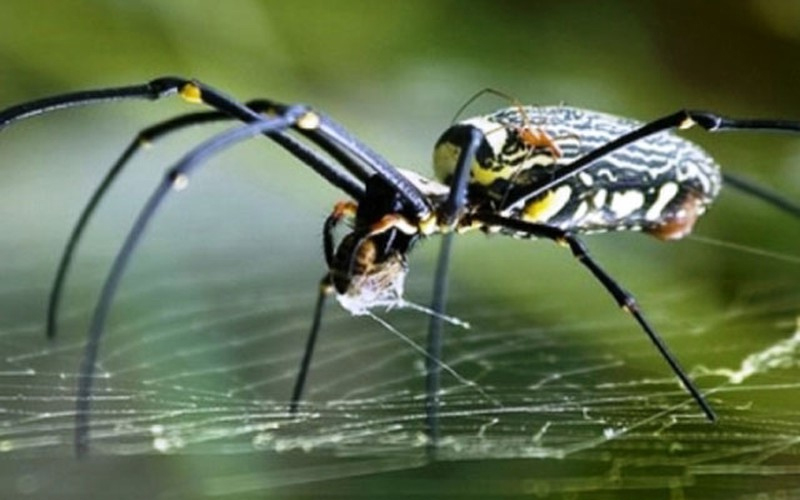 các vật liệu xây dựng